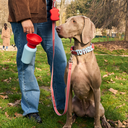 Silicone Dog Treat Dispenser