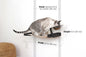 Dog Proof Cat Feeder - Wall-Mounted - Raised