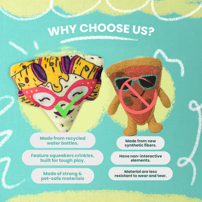 Nacho Kitty with Catnip