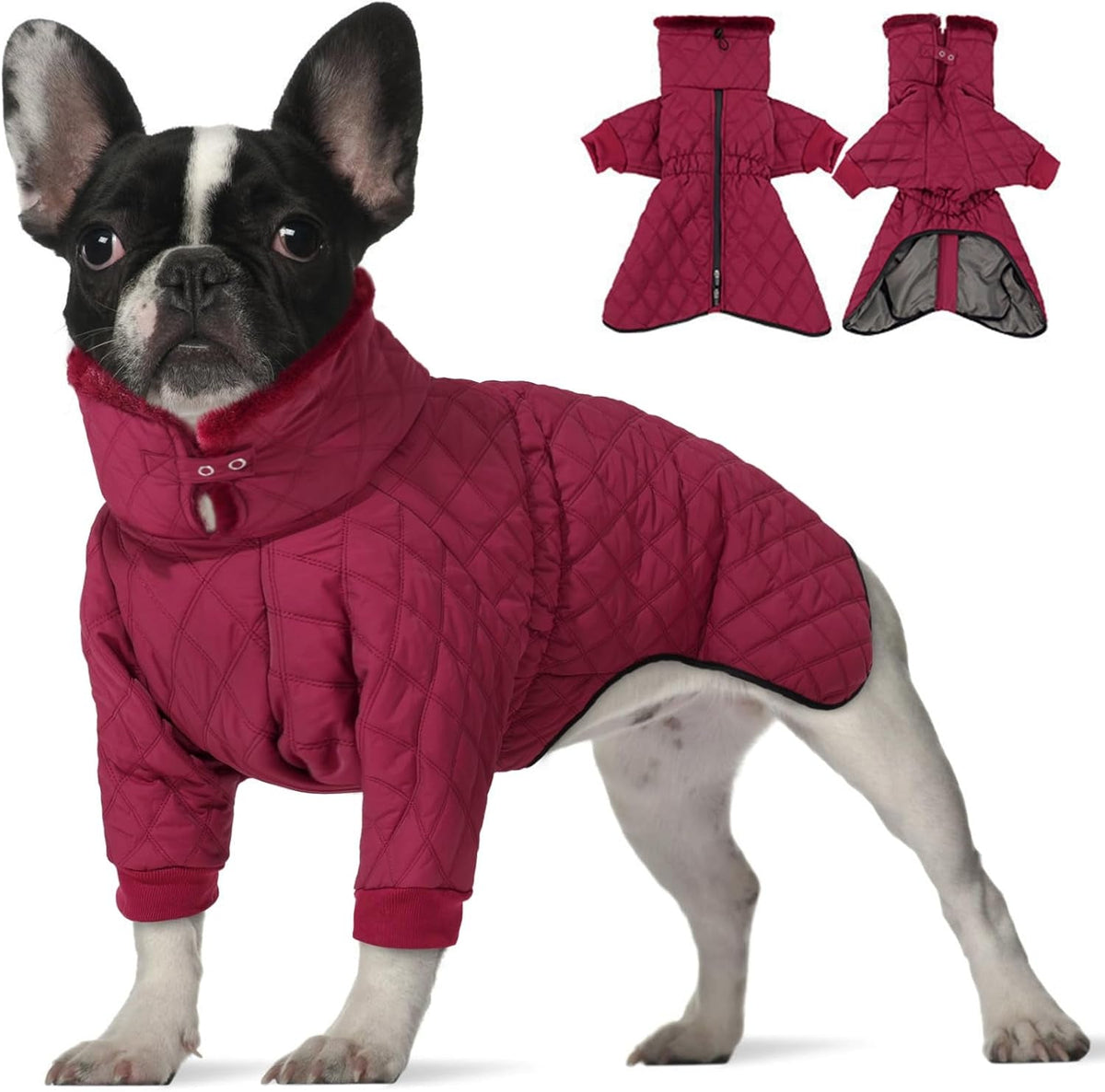 Waterproof Fleece-Lined Dog Snow Jacket with High Collar – S–3XL