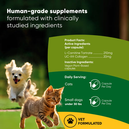 Joint & Muscle Health (Cats & Small Dogs)