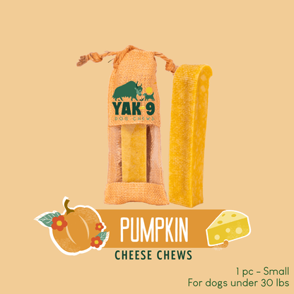 Pumpkin Cheese Chews for Dogs