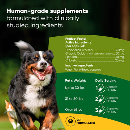 Spirulina & Chlorella