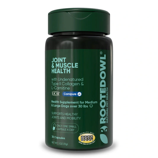 Joint & Muscle Health (Medium & Large Dogs)