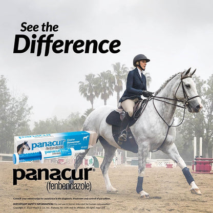 Panacur Equine Paste 10% Horse Wormer 100mg 1 x 25 Grams