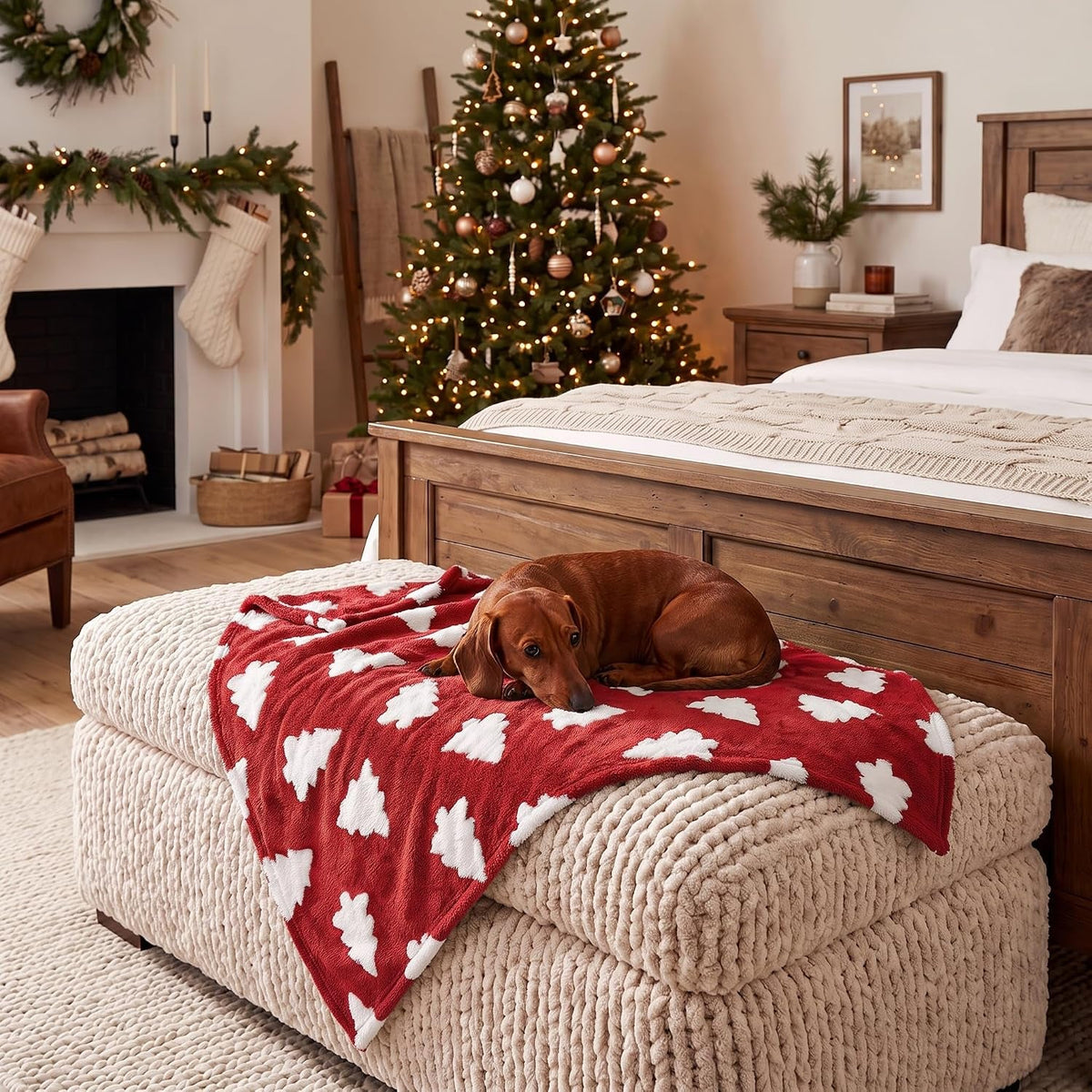 Christmas Pet Blanket – 3D Textured Fleece for Dogs & Cats, 6 Styles