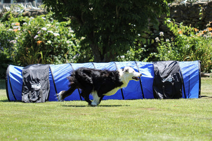 Better Sporting Dogs 5 Piece Dog Agility Equipment Set –  with Jumps, Tunnel, Pause Box & Weave Poles