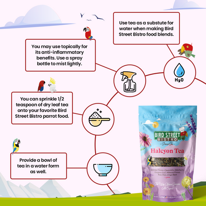 Parrot Tea Bundle Pack