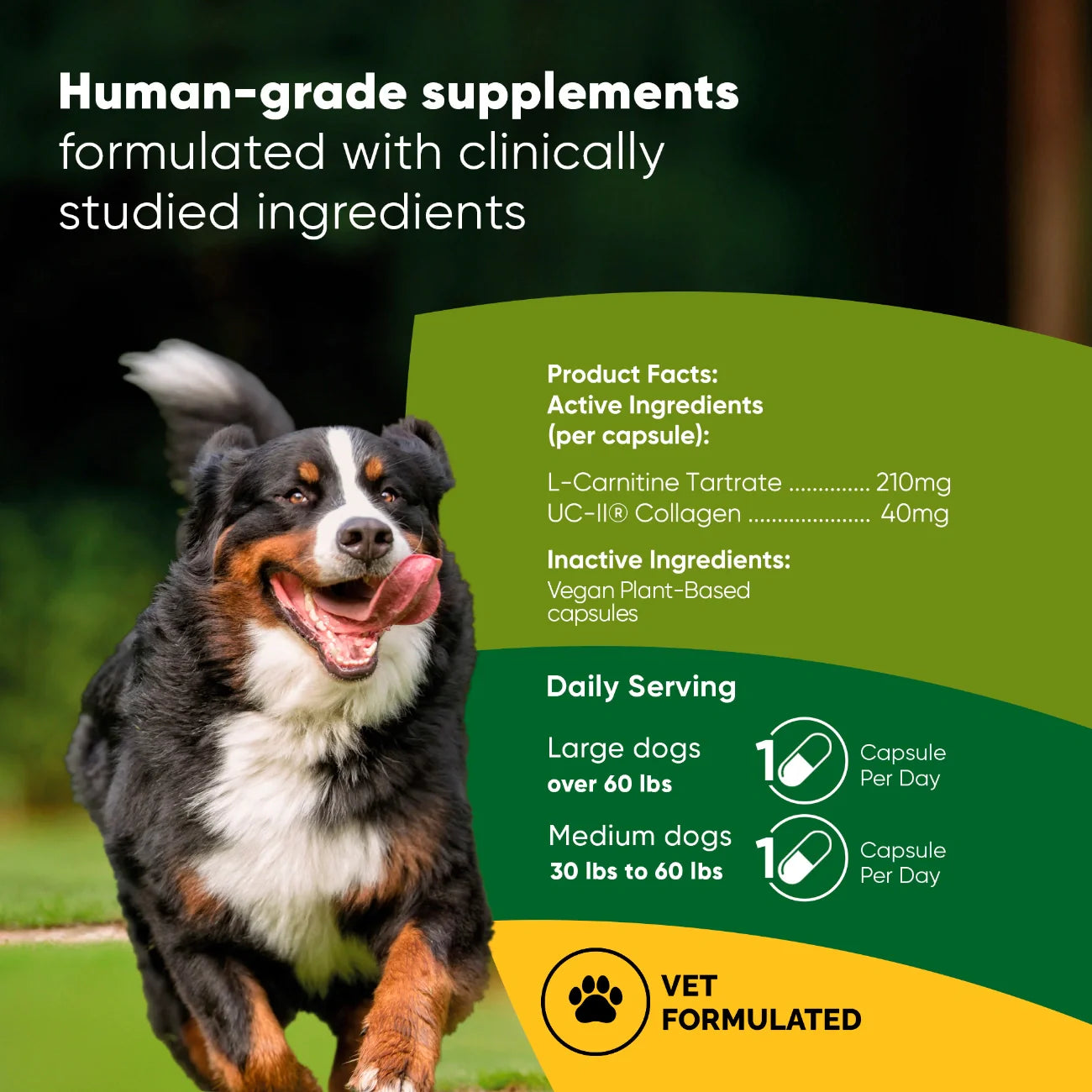 Joint & Muscle Health (Medium & Large Dogs)