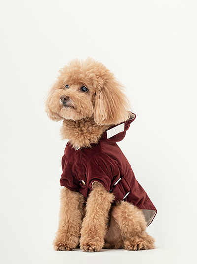 HUSTON HOODIE - DARK BURGUNDY