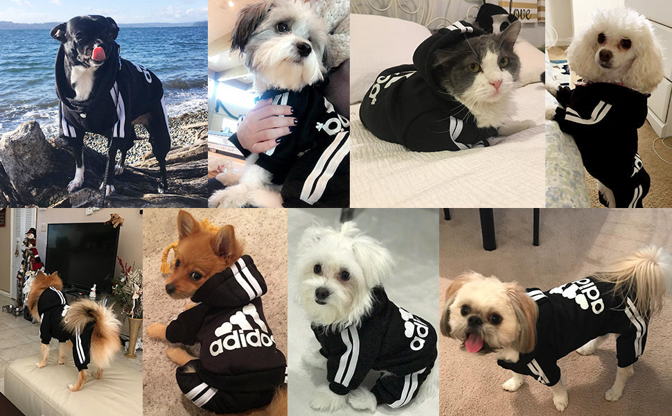 Pet Dog Jumpsuit for Small Medium Dogs