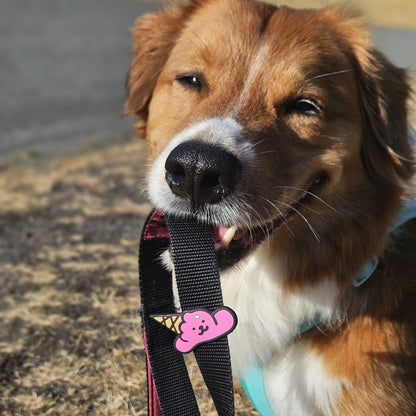 Ice Cream Jiby Dog Charm