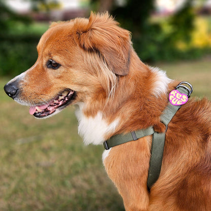 Rescue Orange Jiby Dog Charm