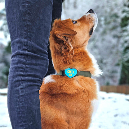 Cute AF Blue Jiby Dog Charm