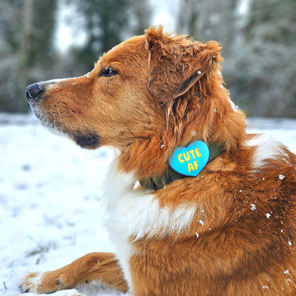 Cute AF Blue Jiby Dog Charm