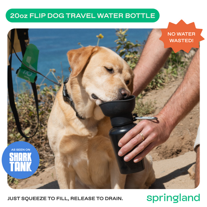 20oz Flip Dog Travel Water Bottle