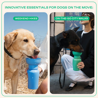 20oz Flip Dog Travel Water Bottle