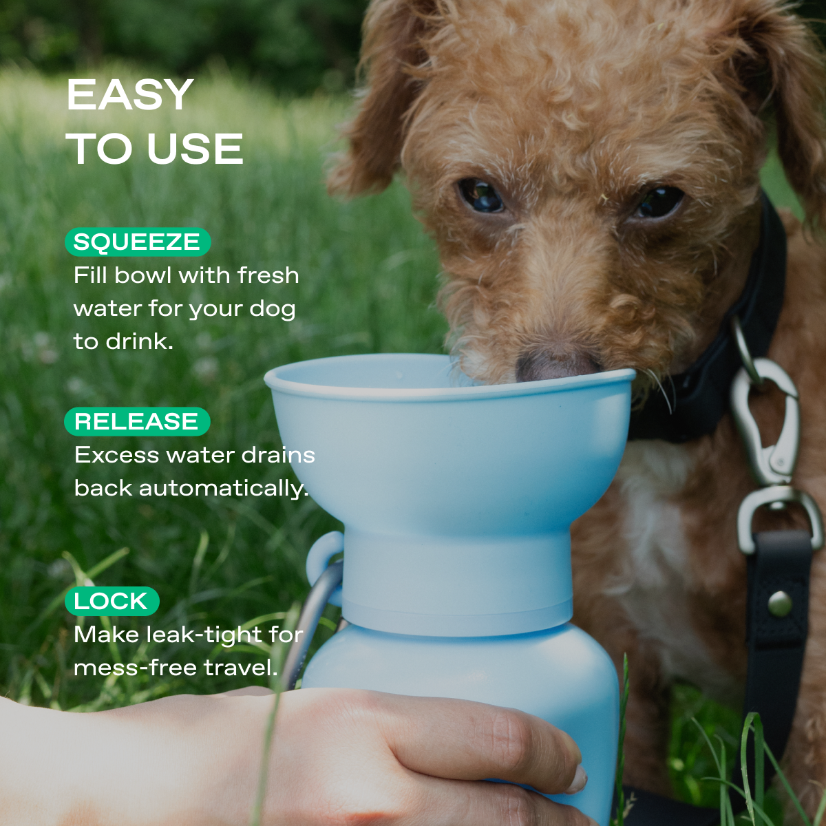 20oz Flip Dog Travel Water Bottle