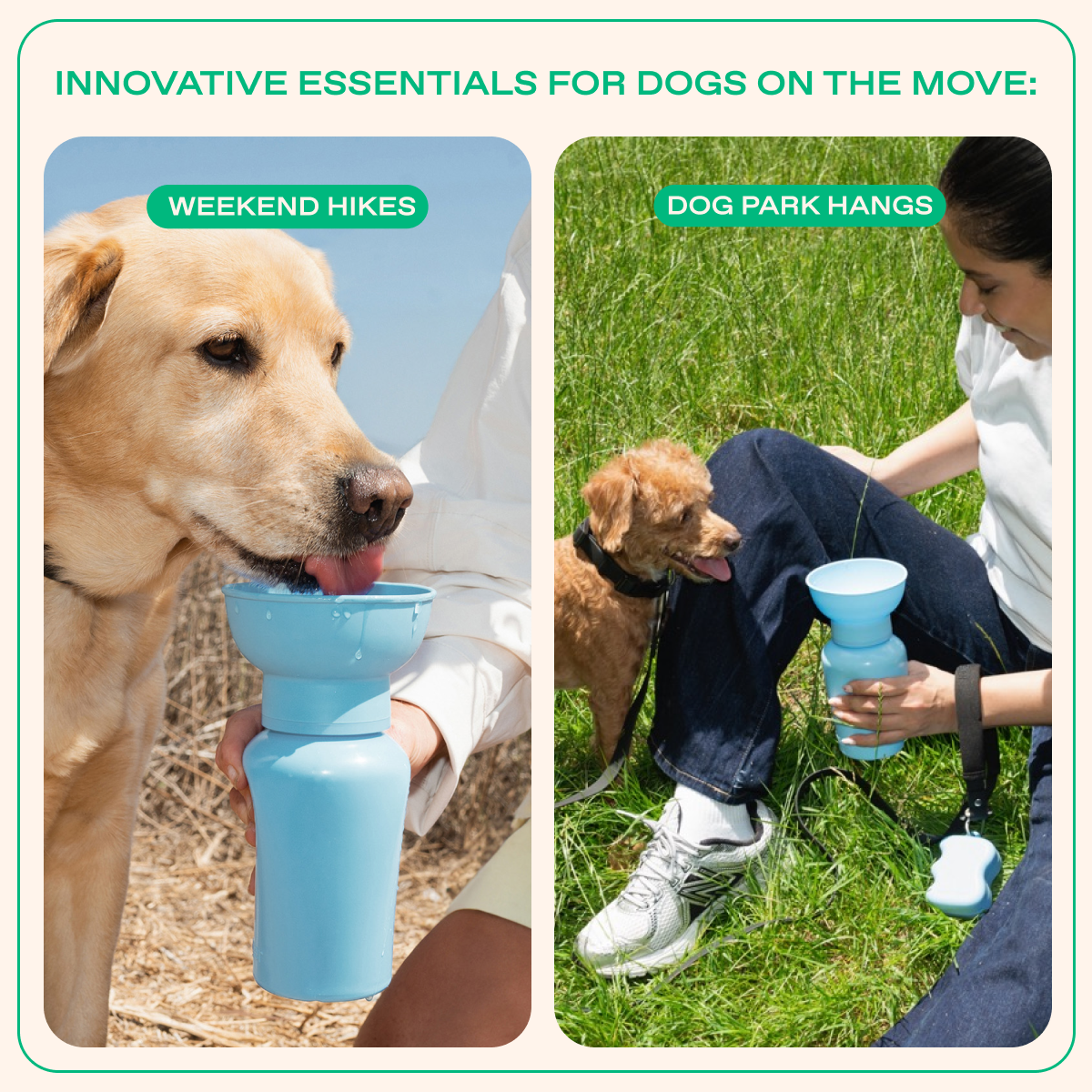 20oz Flip Dog Travel Water Bottle