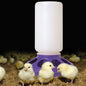 Little Giant Poultry Chicken 1 QT Plastic Feeder Set / Water Set/ Replacement