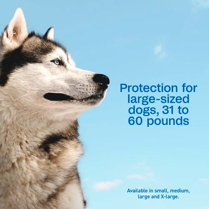 Adams Complete Indoor & Outdoor Flea Treatment System for Large Dogs 31–60 lbs