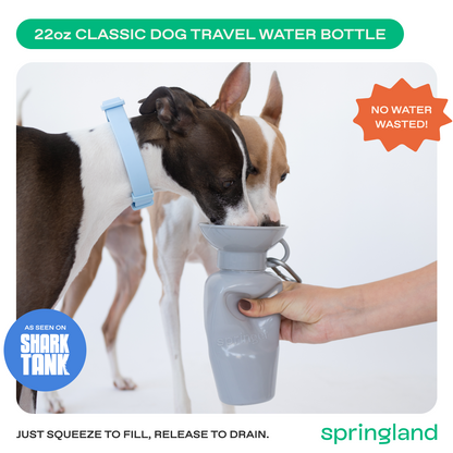 22oz Original Dog Travel Water Bottle