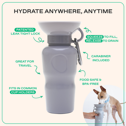 22oz Original Dog Travel Water Bottle
