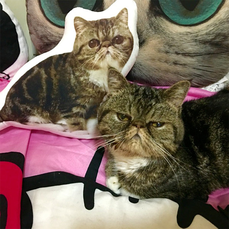 Personalized Customize Pet Pillow