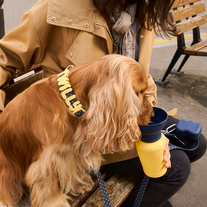 20oz Flip Dog Travel Water Bottle