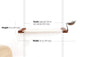 Dog Proof Cat Feeder - Wall-Mounted - Raised