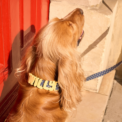 Waterproof Dog Collar
