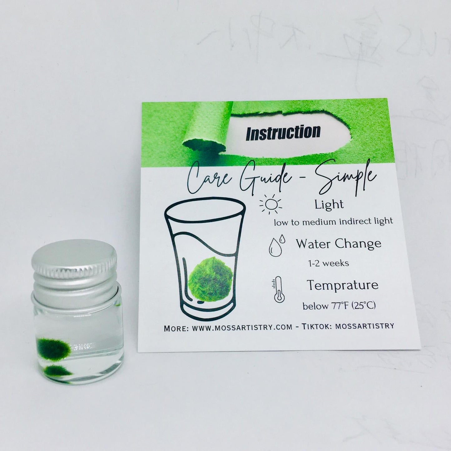 Super Mini Baby Marimo Moss Ball Kit Mini Moss Ball