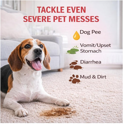 SKOUT'S Pet Stain Odor Eliminator Spray Dog Urine Carpet Cleaner 35oz