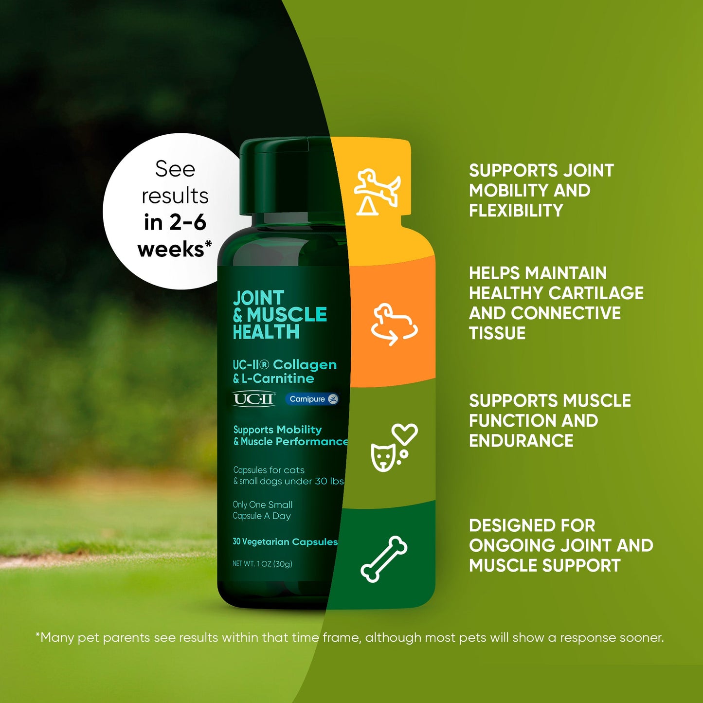 Joint & Muscle Health (Cats & Small Dogs)