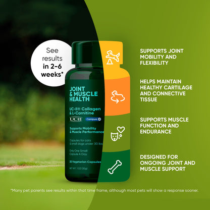 Joint & Muscle Health (Cats & Small Dogs)