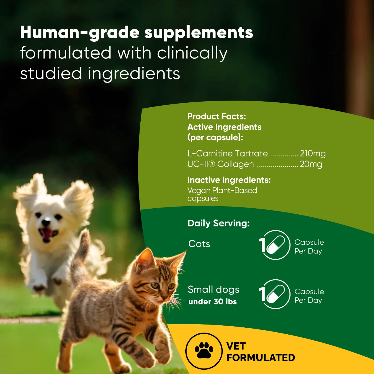 Joint & Muscle Health (Cats & Small Dogs)