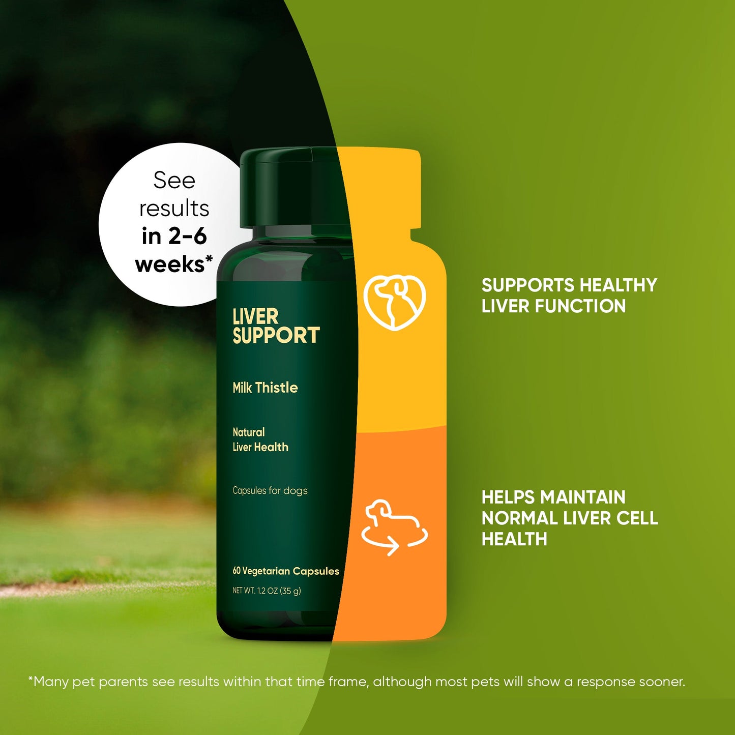 Liver Support
