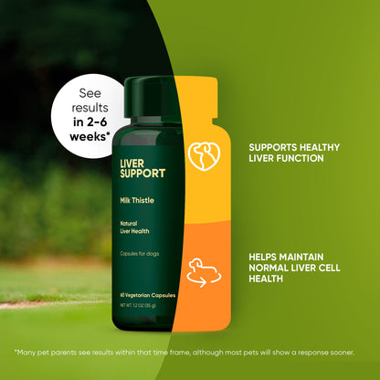 Liver Support