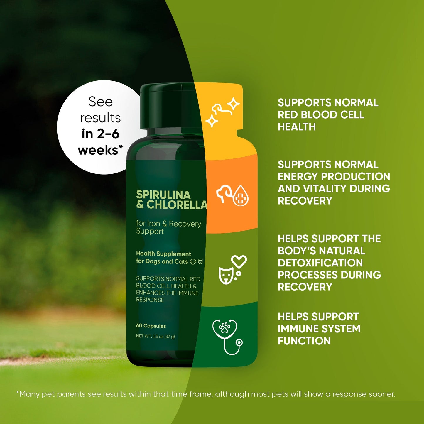 Spirulina & Chlorella