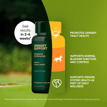 Urinary Support