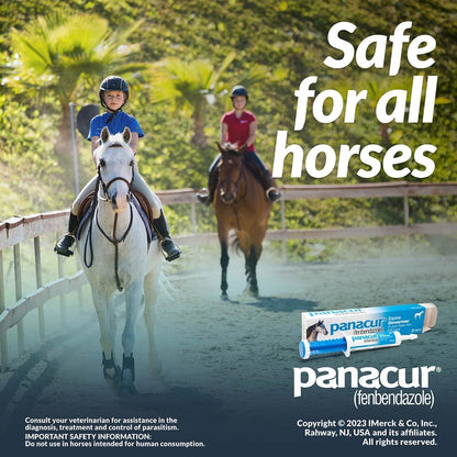 Panacur Equine Paste 10% Horse Wormer 100mg 1 x 25 Grams