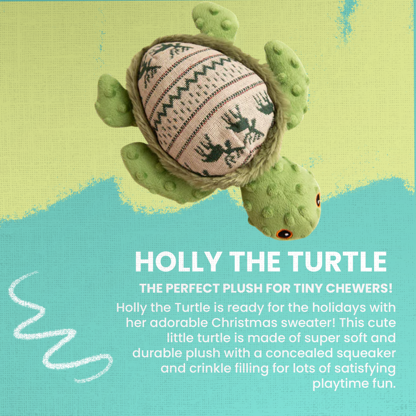 Holly the Turtle