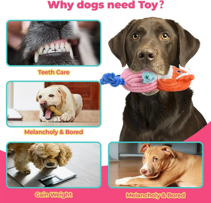 3-Pack Plus Chew Dog Squeaky Toys for Small Medium Large Dogs