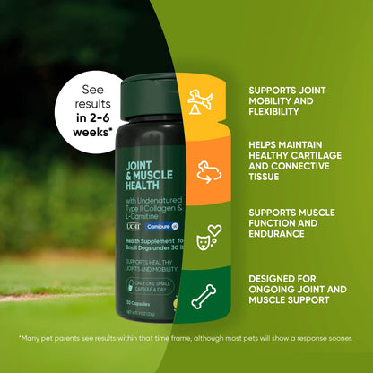 Joint & Muscle Health (Cats & Small Dogs)