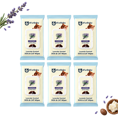 Plant-Based Pet Wipes for Dogs & Cats – Hypoallergenic, Gentle, Cleaning & Hydrating for Paws, Body & Butt – Daily Grooming Use – 400 Count