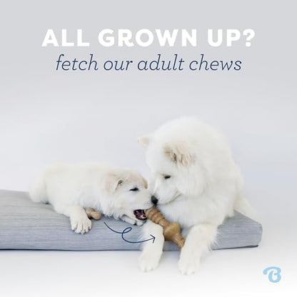 Benebone Puppy 4-Pack Dog Chew Toys