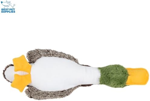 Best Pet Supplies Interactive Squeaky Dog Chew Toy, Ideal Dog Toys