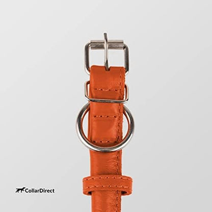 CollarDirect Rolled Leather Dog Collar, Soft Padded Round Puppy Collar, Handmade Genuine Leather Collar Dog Small Large Cat Collars 13 Colors (13-16 Inch, Orange Textured)