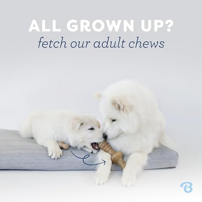 Benebone Puppy Fishbone Dog Chew Toys, Softer
