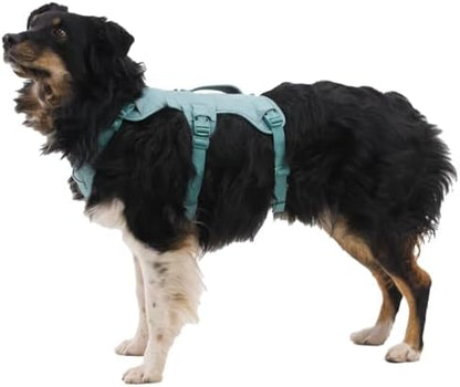 Ruffwear, Web Master Dog Body Harness, River Rock Green